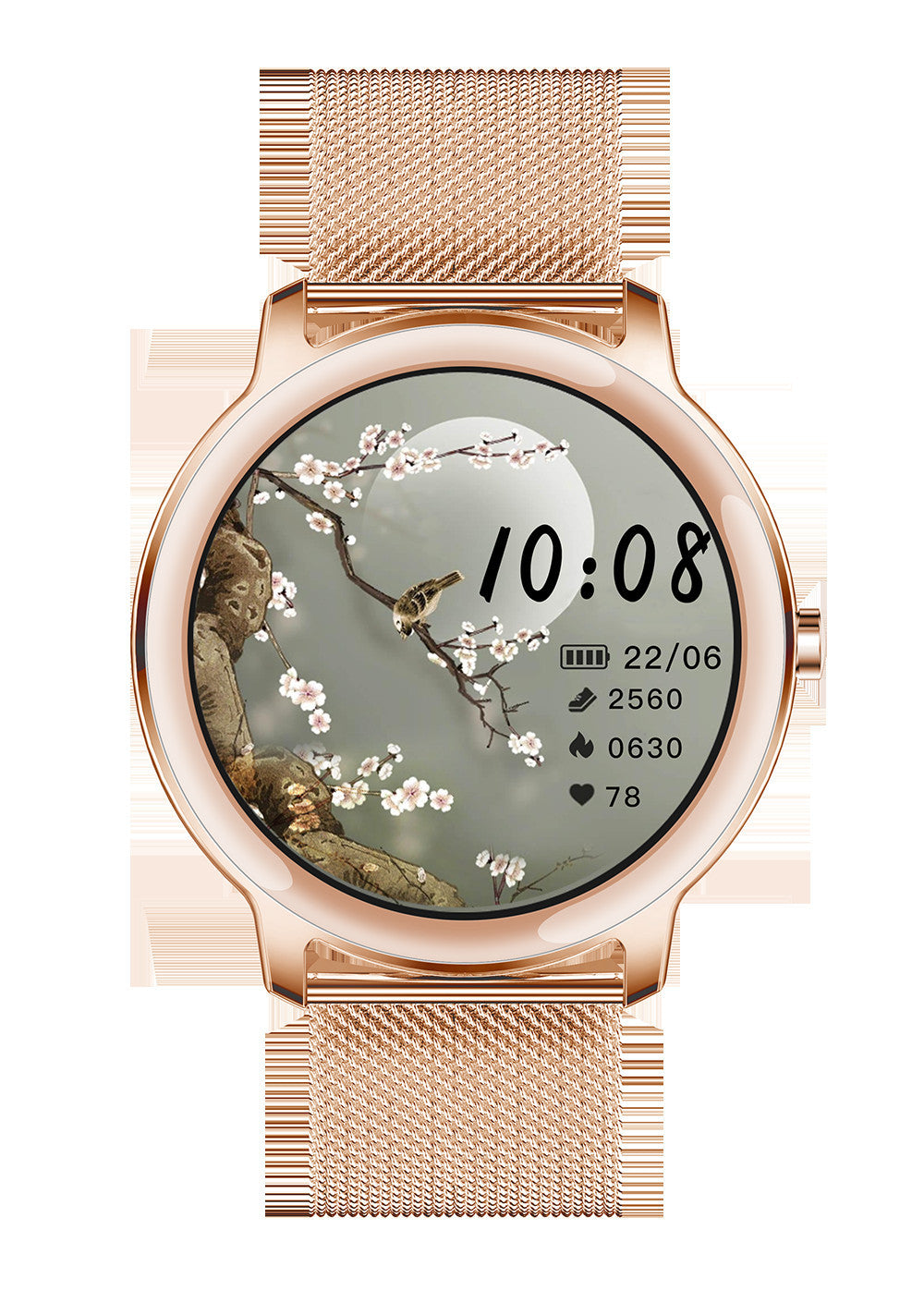 POPULAR R18 LADIES SMART WATCH